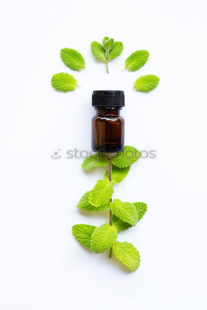 Similar – Image, Stock Photo Green facial serum with pipette and green leaves