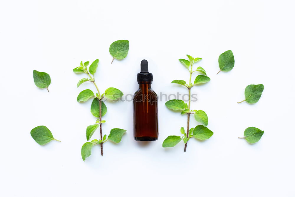 Similar – Image, Stock Photo Green facial serum with pipette and green leaves