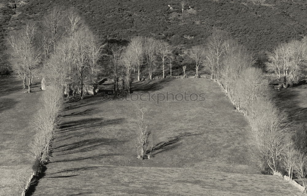 Similar – Image, Stock Photo Reflection of a mountain pasture in the Dolomites