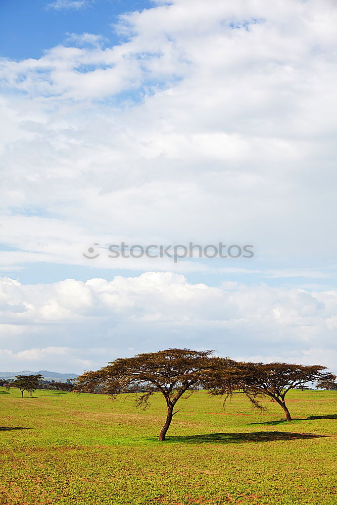 Similar – Image, Stock Photo vastness Far-off places