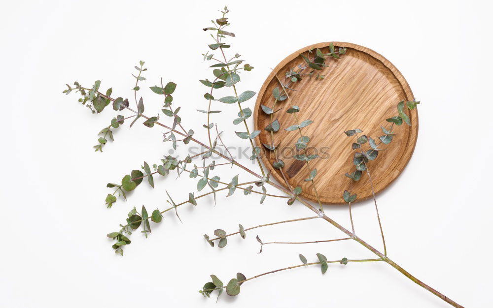 Similar – Image, Stock Photo vases with dry flowers