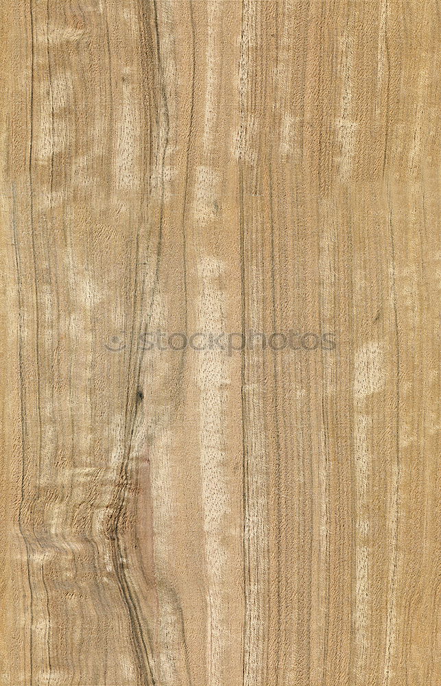 Similar – Image, Stock Photo wood grain surface Grain