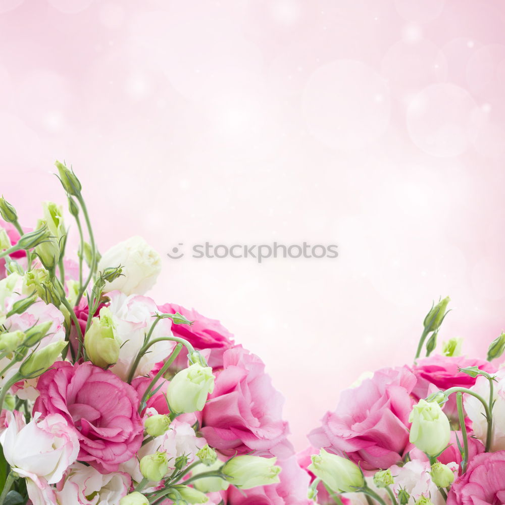 Similar – Image, Stock Photo Towels with pink flowers. Spa and Wellness