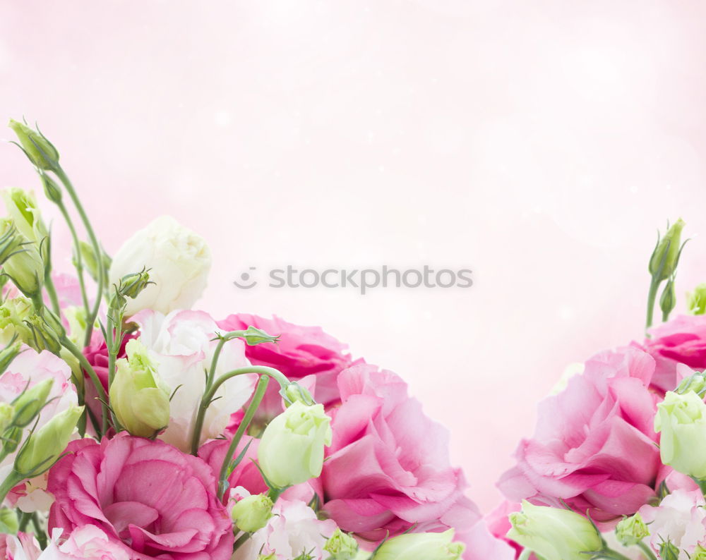 Similar – Peonies bouquet on table in living room