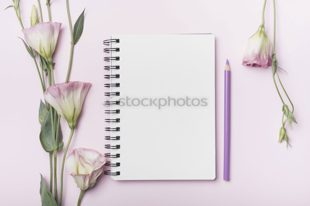 Similar – Image, Stock Photo Tablet PC with blank screen on pink background