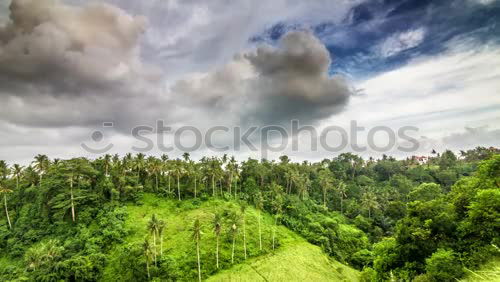 Similar – Image, Stock Photo Tea plantations of Kandy