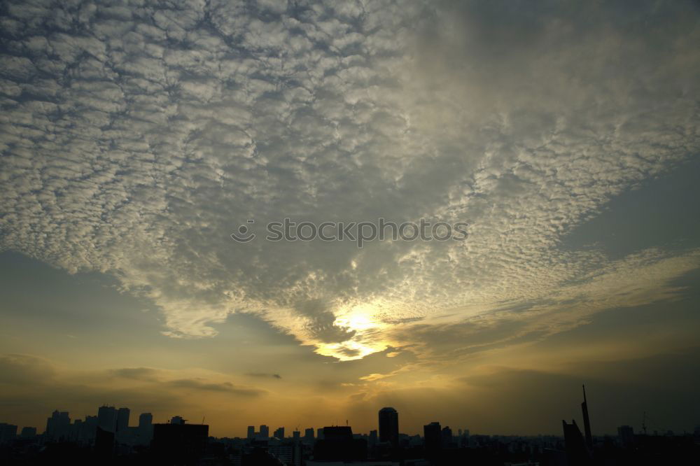 Similar – Image, Stock Photo orange blue skyline Sky