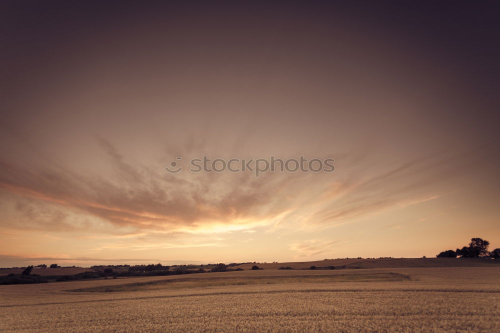 Similar – GROSSGRUNDBESITZER Feld