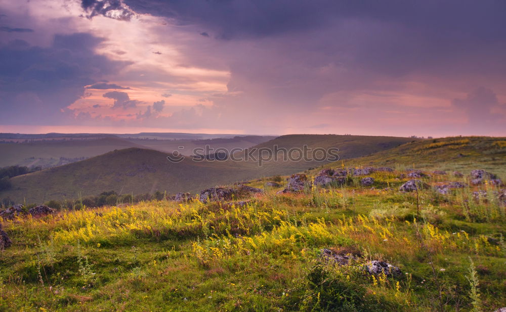 Similar – Image, Stock Photo Bad weather ahead Nature