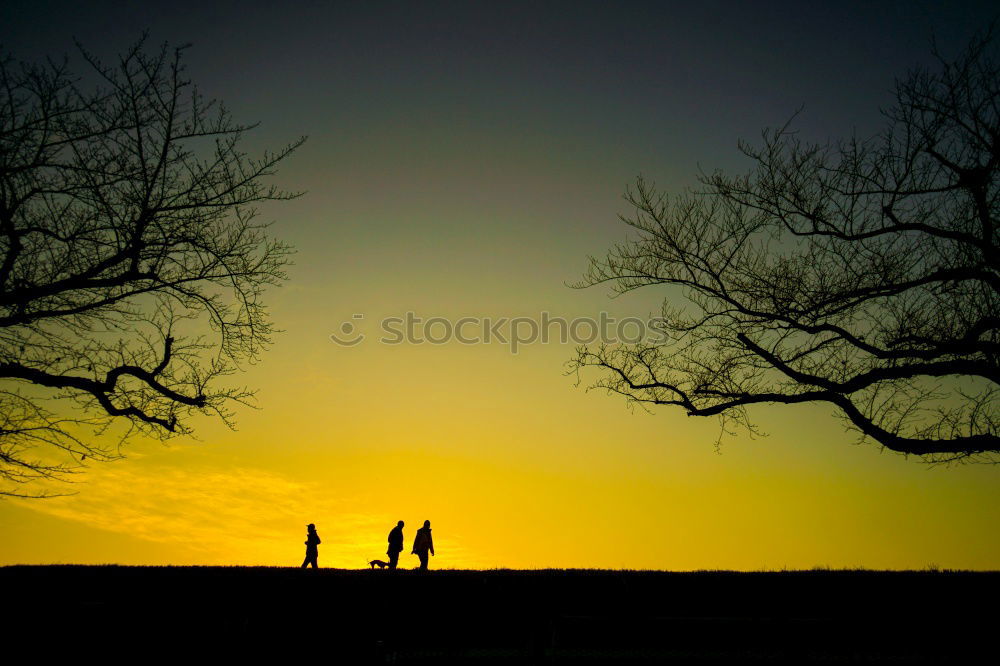 Similar – Image, Stock Photo Shadow of Love Matrimony