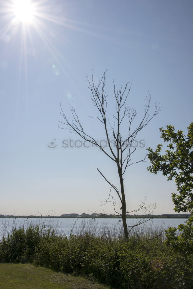 Similar – Image, Stock Photo two on the lake 2 Lake