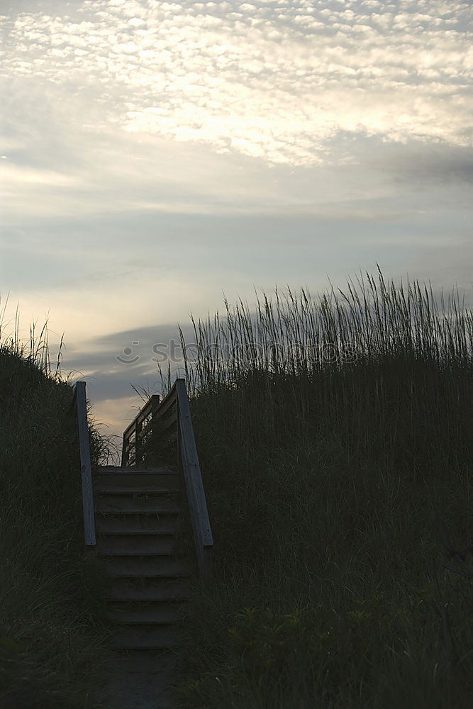 in a moment … Beach