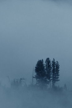 Similar – Autumn rain and mist in mountains. Morning fog over hills