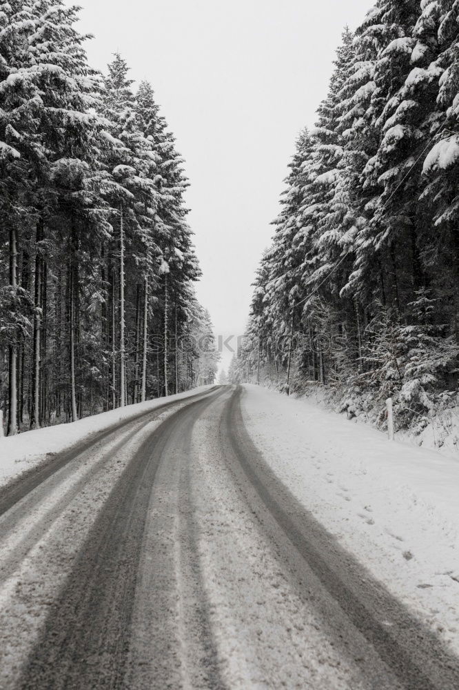 Similar – Image, Stock Photo Road in forest in snow