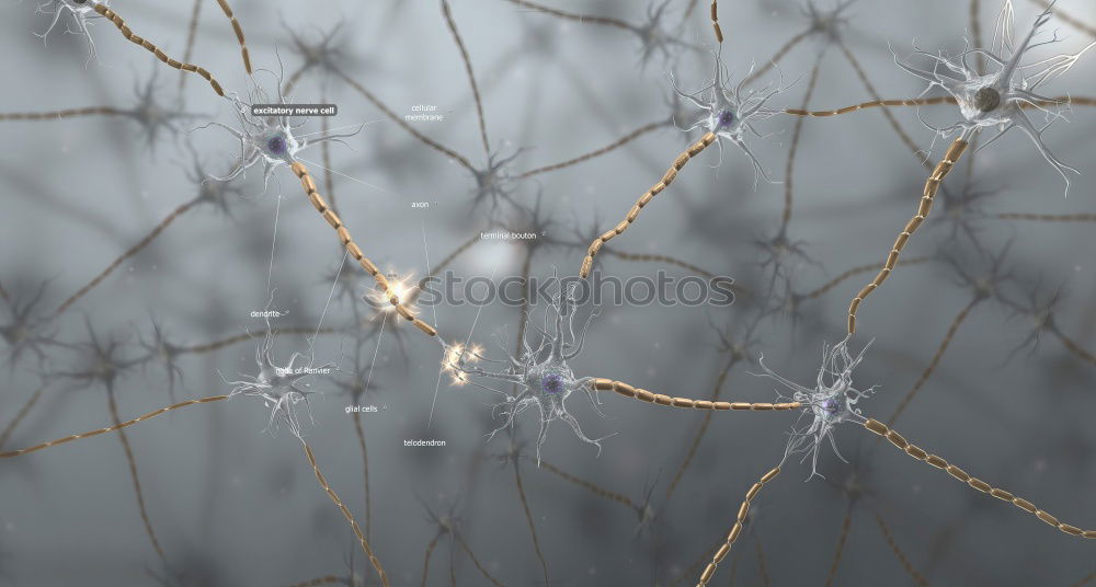 Similar – Image, Stock Photo lampions Tree Lampion