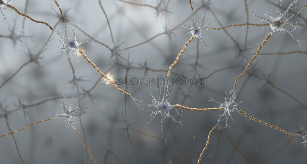 Similar – Image, Stock Photo Frosty Times Nature Plant