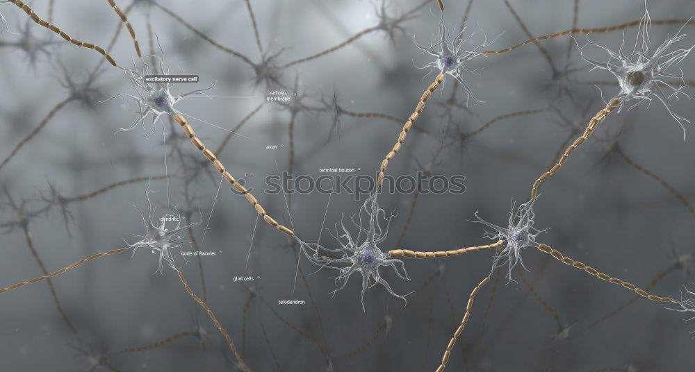 Similar – Image, Stock Photo Night stary sky and trees