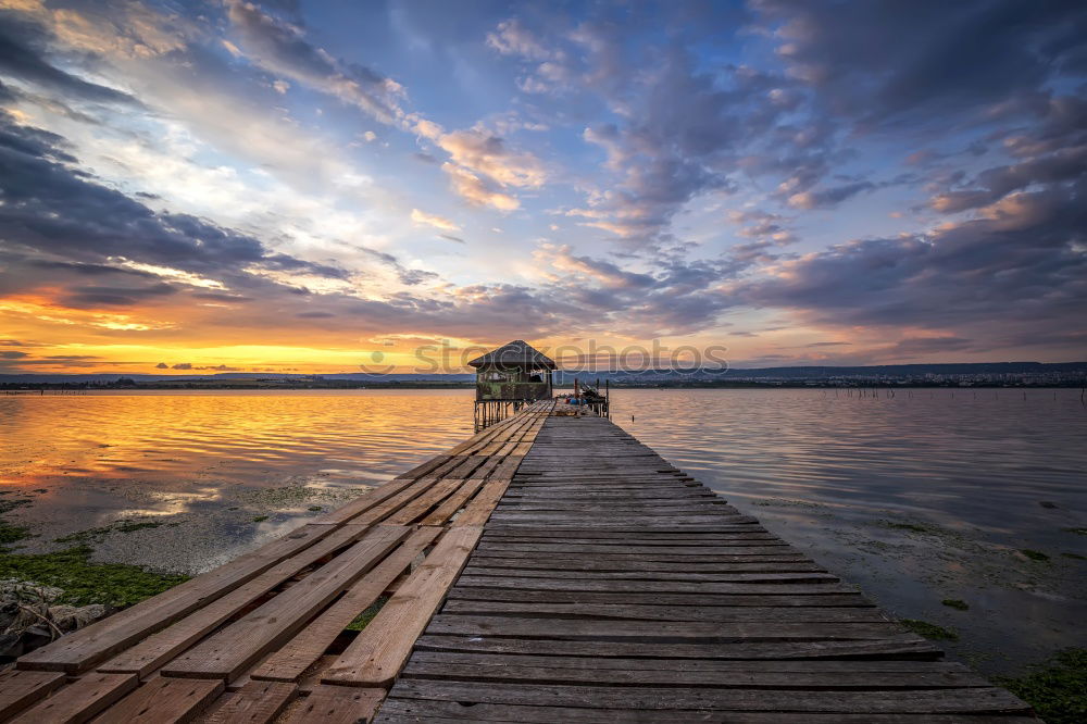 Similar – Image, Stock Photo daydream Sun Landscape