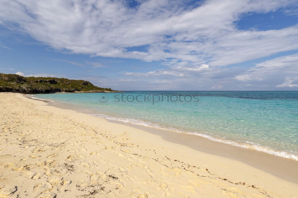 Similar – Beach in New Zealand