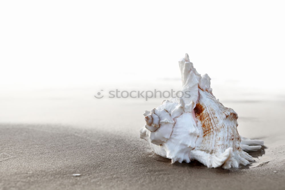 Similar – Foto Bild Eigenheimsiedlung Sand