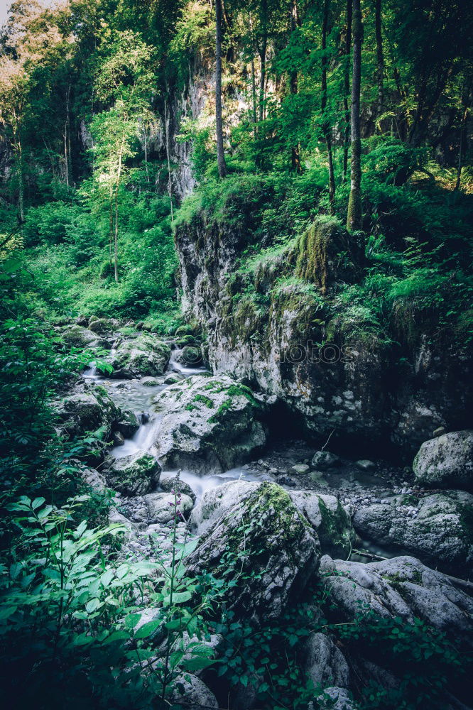Similar – Image, Stock Photo Bastion Bridge II Culture