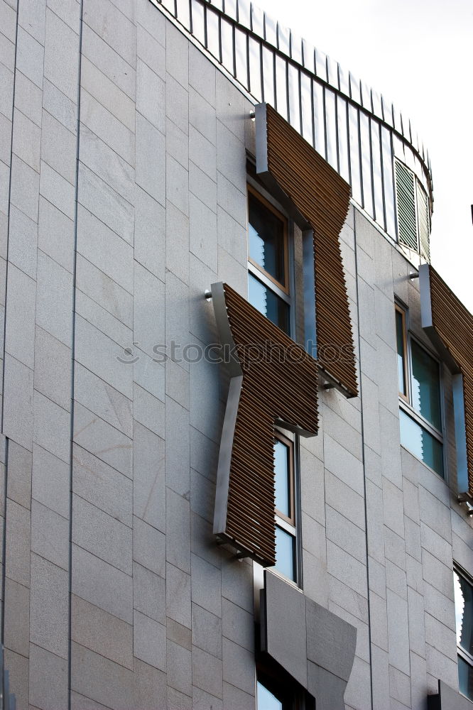 Foto Bild Viele viele Fenster