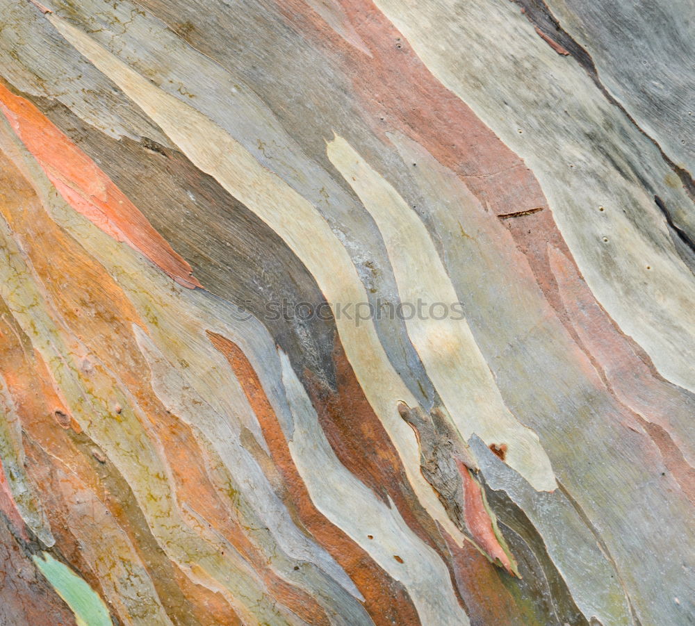 Similar – Sedimentary rocks texture