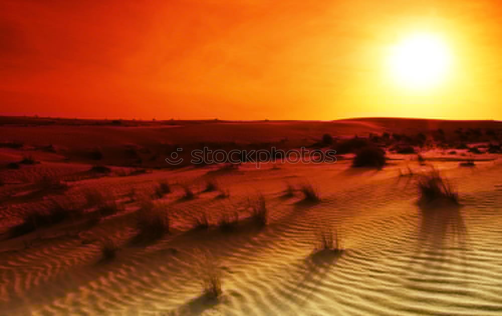 Image, Stock Photo snowy desert Orange filter