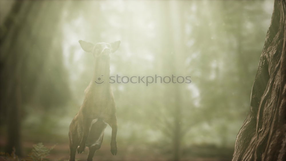 Similar – Image, Stock Photo Where’s the ball? Healthy