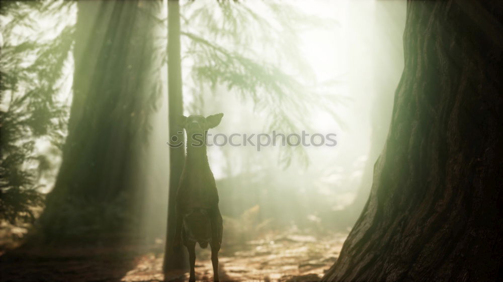 Similar – Image, Stock Photo Show me the way Remote
