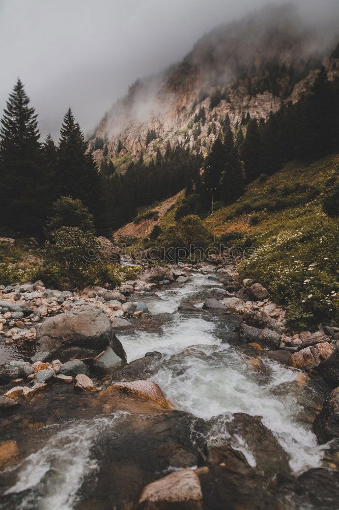 Similar – Image, Stock Photo Small mountain river River