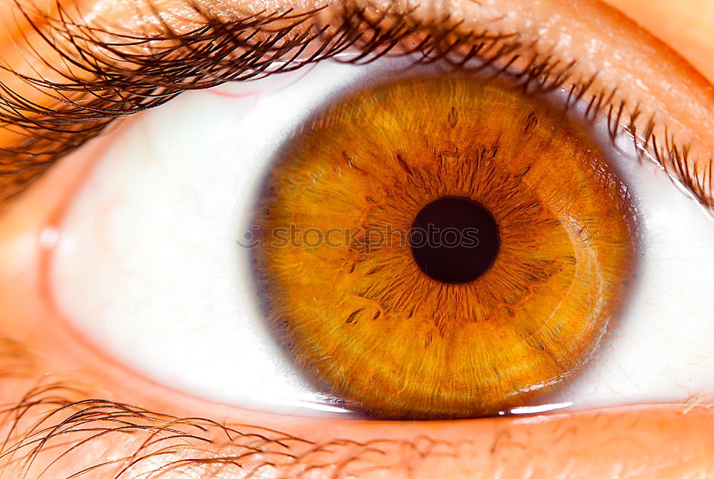 Image, Stock Photo the all seeing I Skin