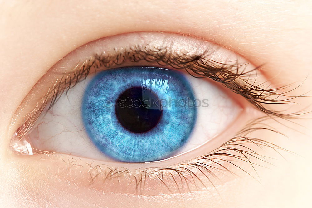 Similar – Macro of a woman’s blue eye