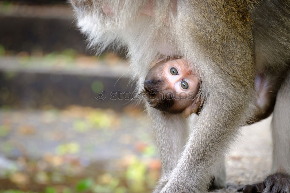 Similar – one pedicure please