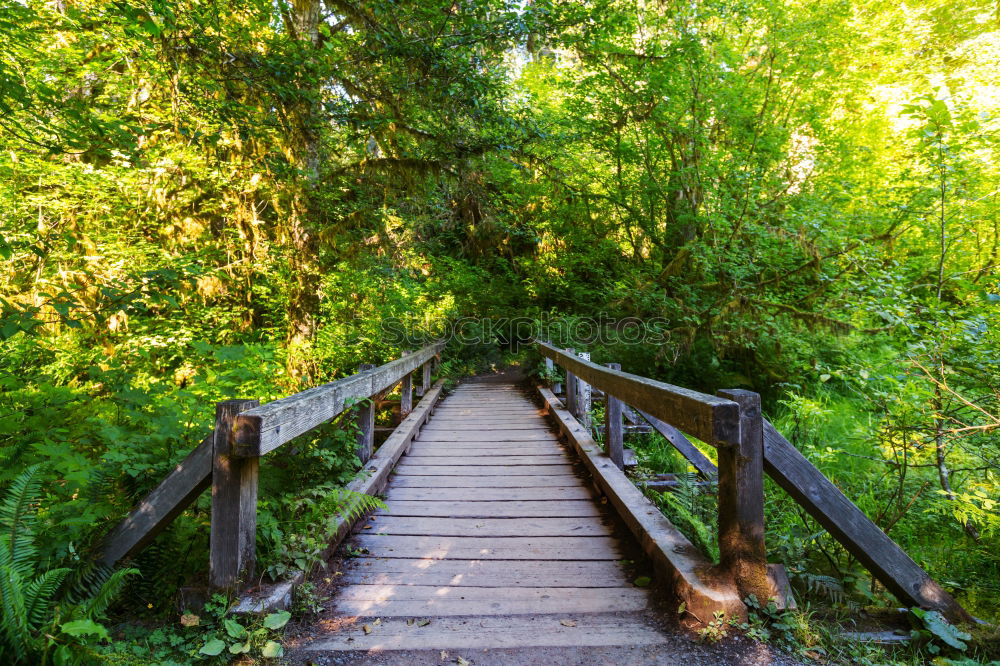 Similar – Stairway to Green Hell