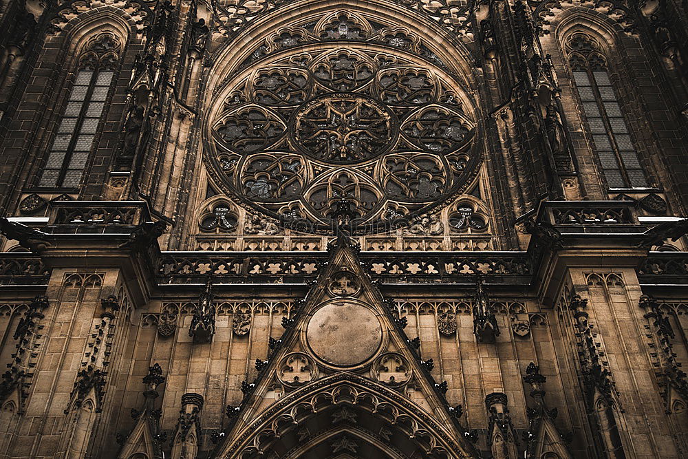 Similar – Kölner Dom Götter schwarz