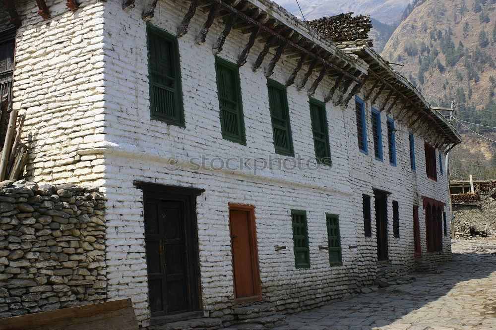 Similar – Foto Bild manali cow ruhig