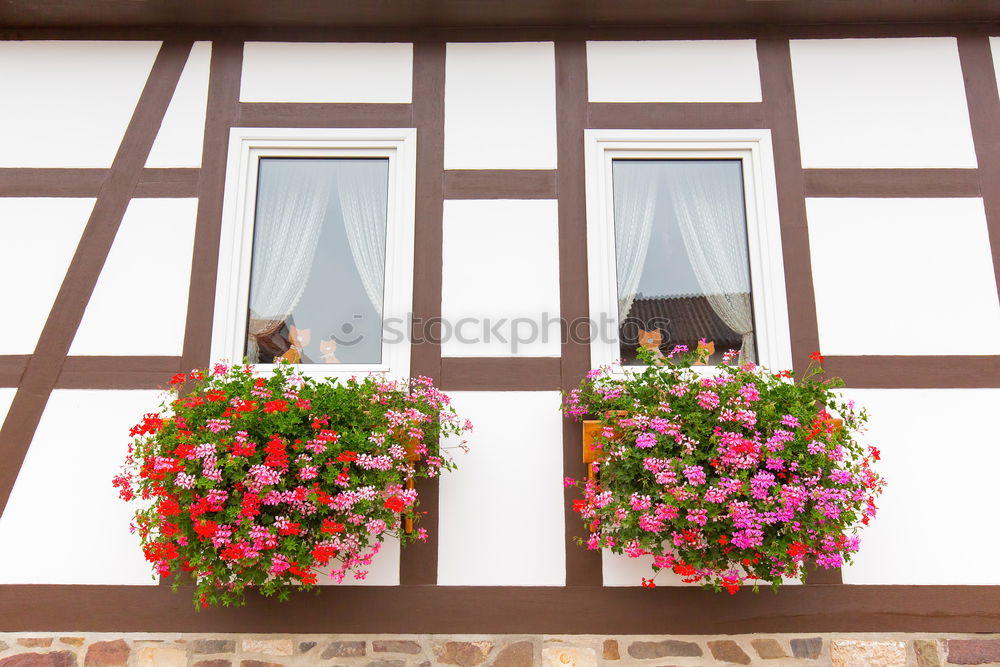 Similar – Fenster mit Haus Wohnung