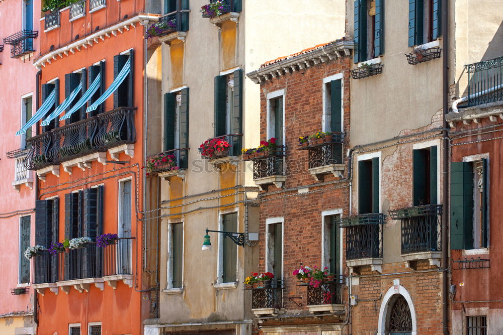 Similar – Foto Bild la piazza di vernazza