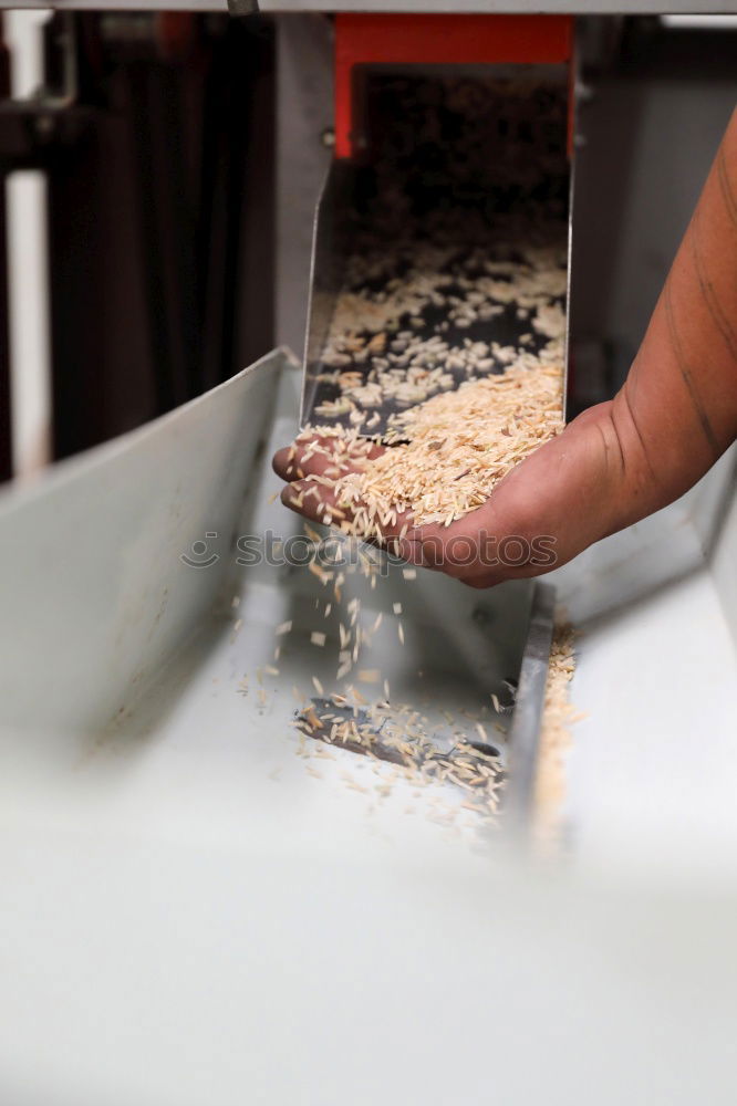 Similar – close up view of woman hand cutting nuts with knife