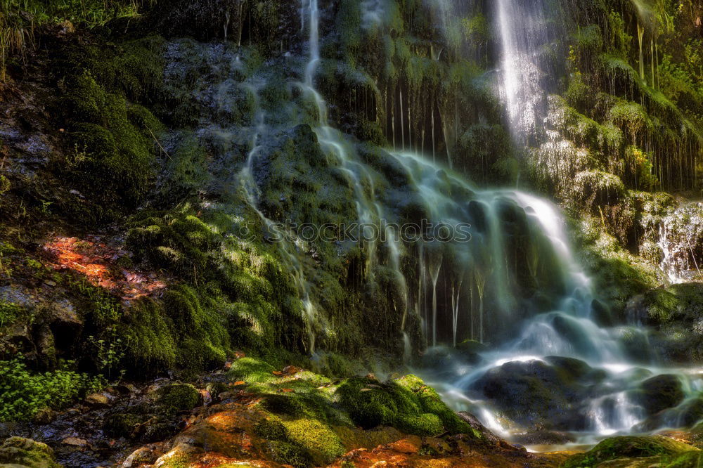 Similar – Image, Stock Photo Nullachtfünfzehn / it runs and runs…. the waterfall in the jungle, in Binna Barra- Queensland / Australia