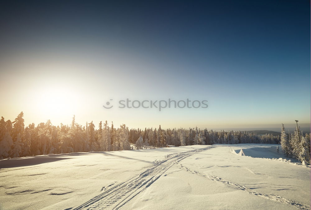 Similar – Image, Stock Photo morning sunrise over cabin in winter alpine forest and snow