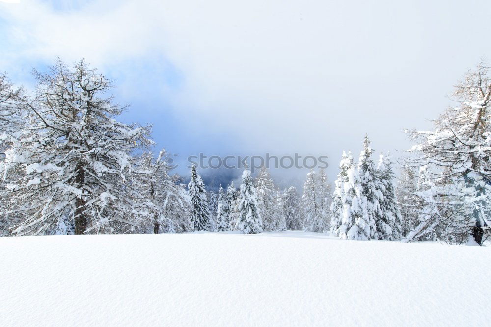 Similar – sloping winter forest