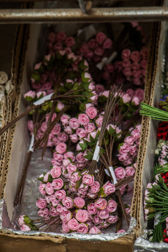 Similar – Image, Stock Photo Mourning at the Brandenburg Gate