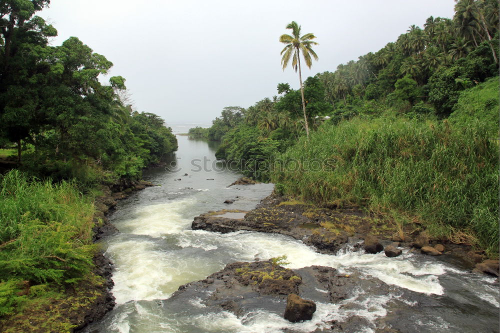 Similar – Foto Bild Wasserfall im Dschungel