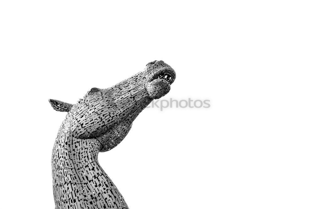 Similar – Image, Stock Photo The claw Green Iguana Claw