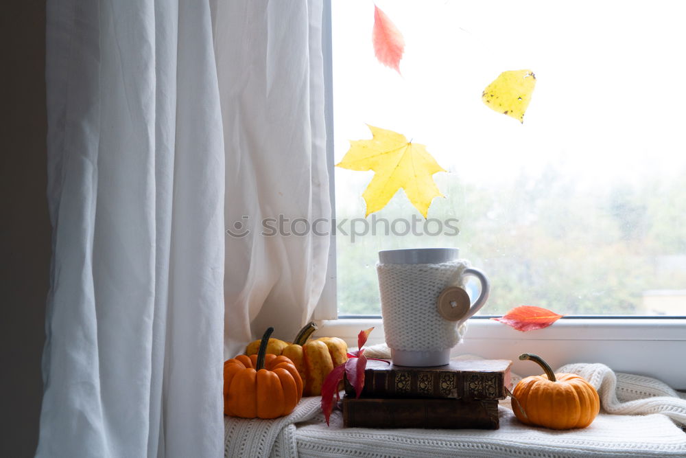 Similar – cozy autumn morning at home. Hot cocoa with marshmallows