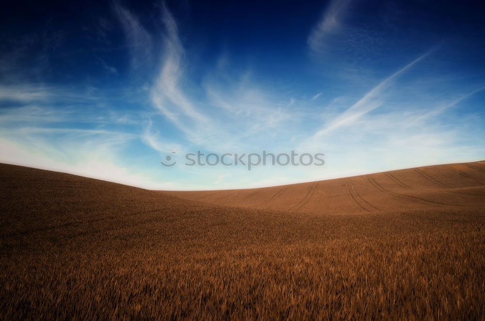 Similar – Image, Stock Photo deep blue Harmonious