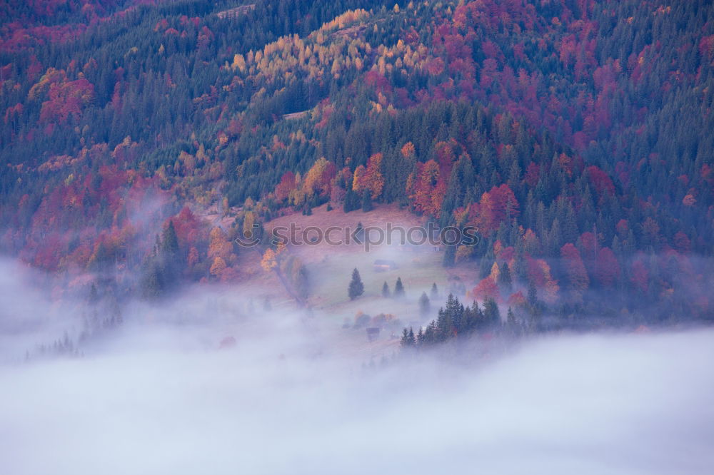 Image, Stock Photo fog Nature Landscape