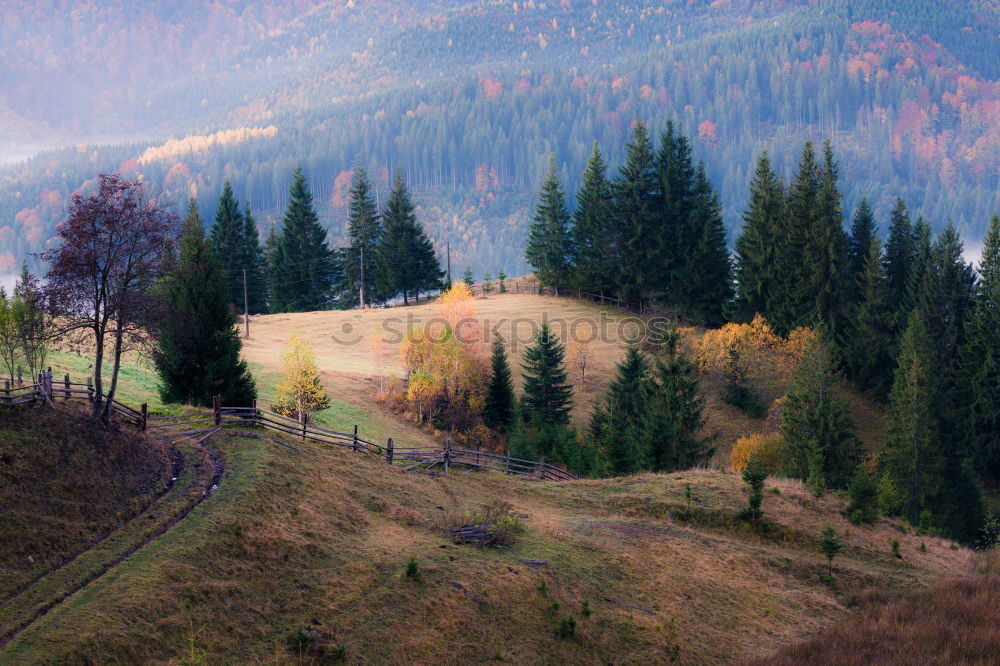 Similar – Image, Stock Photo Sunny October day in Malopolska mountain village